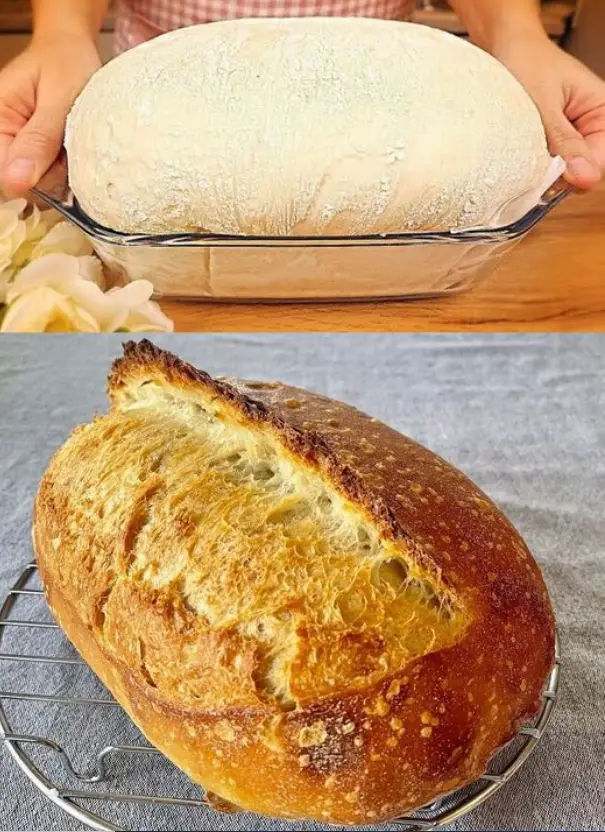 Hausbrot Rezept von Oma 100 Jahre alt ich kaufe sicher nie wieder 