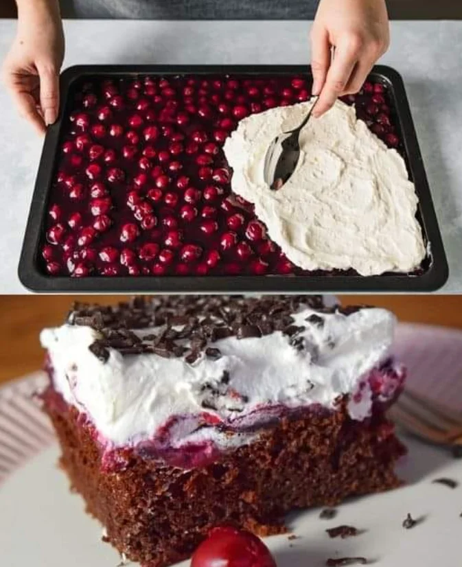 Schwarzwälder Pudding Blechkuchen mit 2 Gläser Sauerkirschen