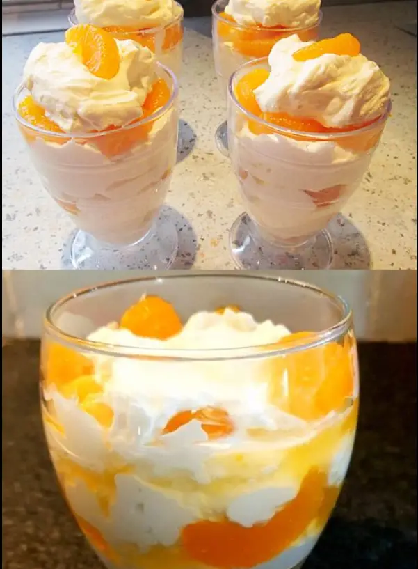 Pudding Dessert mit 300 g Quark und 1 Dose Mandarinen