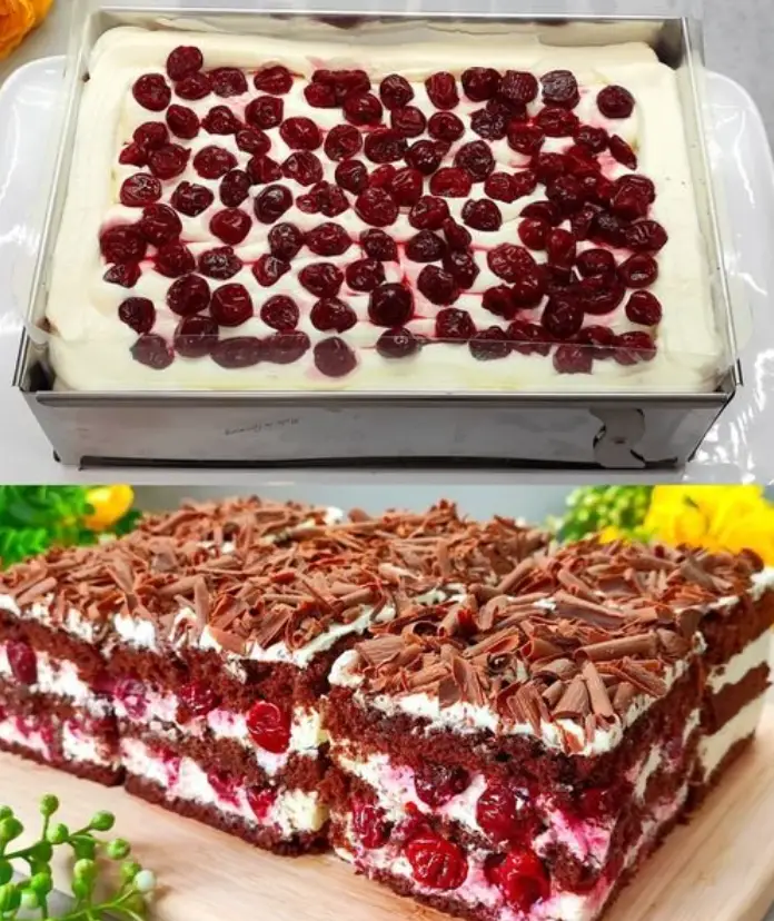 Blitzschnelle Schwarzwälder Kirschtorte mit Gelinggarantie 100%