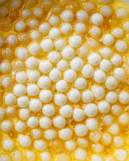 517136082_769556912402832_2652590912809473706_n